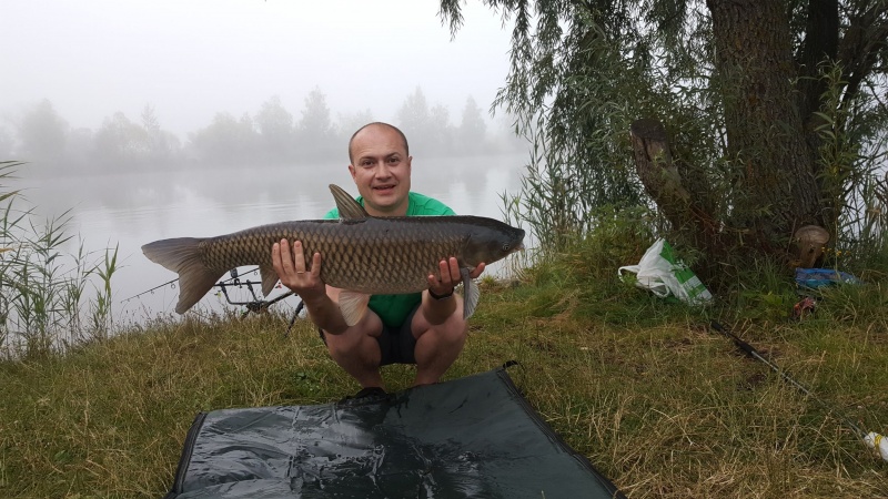 Пойман белый амур весом около 10 кг. 23-24.07.2016